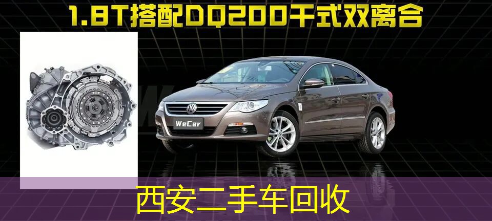 DQ200干式双离合变速箱的内部结构图，说明其常见故障。