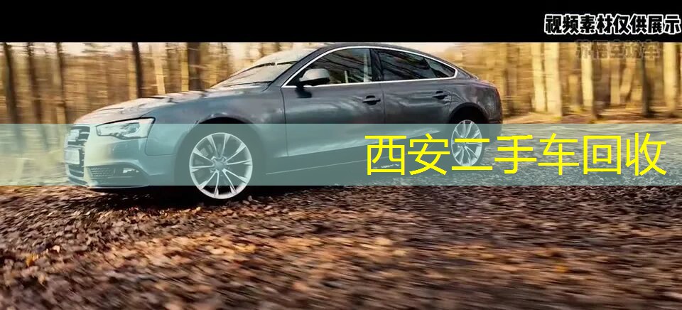 14款奥迪A5 Sportback外观